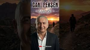 Öyle Gel