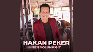 Sen Yoluna Git