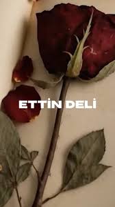 Ettin Deli ft Fro