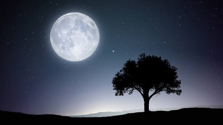 En Azından Bu Gece Değil