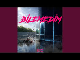 Bilemedim