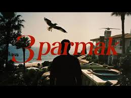 3 Parnak