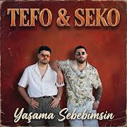 Yaşama Sebebimsin ft Tefo