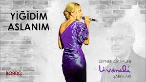 Yiğidim Aslanım